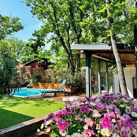 Pine-Wood Resort Balatonalmádi Екстериор снимка